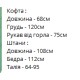 Теплый уютный костюм из меха Тедди с отделкой кантом (кофта с капюшоном+брюки на манжетах) бежевый